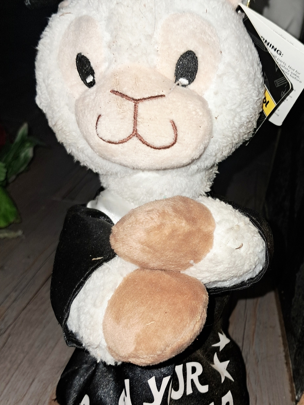 Dancing Graduation Plush